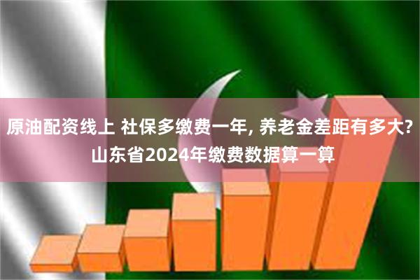 原油配资线上 社保多缴费一年, 养老金差距有多大? 山东省2024年缴费数据算一算