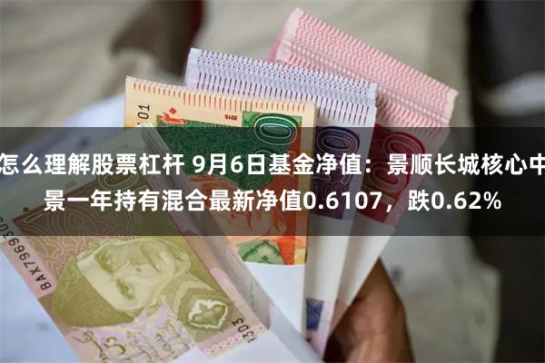 怎么理解股票杠杆 9月6日基金净值：景顺长城核心中景一年持有混合最新净值0.6107，跌0.62%