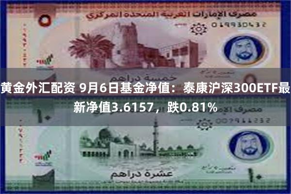 黄金外汇配资 9月6日基金净值：泰康沪深300ETF最新净值3.6157，跌0.81%