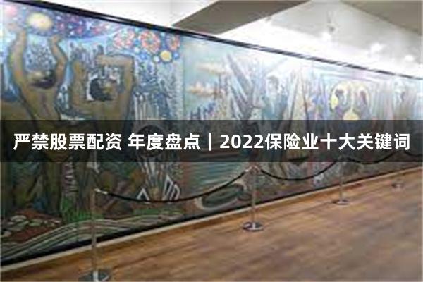 严禁股票配资 年度盘点｜2022保险业十大关键词