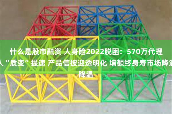 什么是股市融资 人身险2022脱困：570万代理人“质变”提速 产品信披迎透明化 增额终身寿市场降温