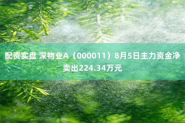 配资实盘 深物业A（000011）8月5日主力资金净卖出224.34万元