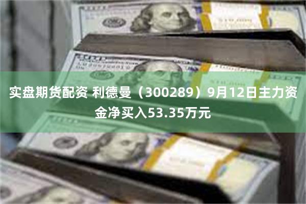 实盘期货配资 利德曼（300289）9月12日主力资金净买入53.35万元