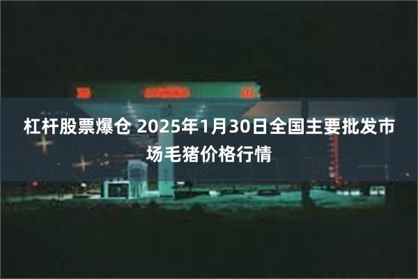 杠杆股票爆仓 2025年1月30日全国主要批发市场毛猪价格行情