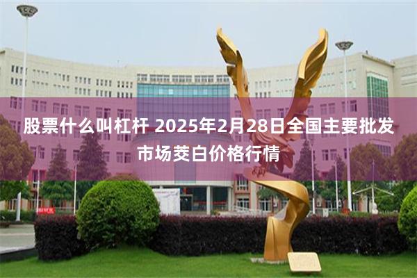 股票什么叫杠杆 2025年2月28日全国主要批发市场茭白价格行情